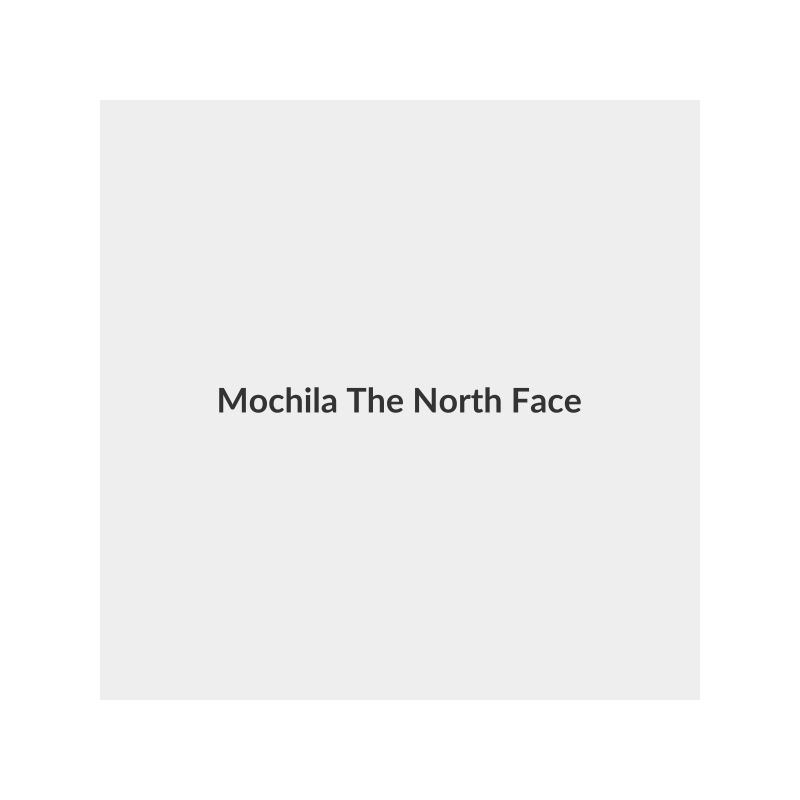 Mochila The North Face Urban