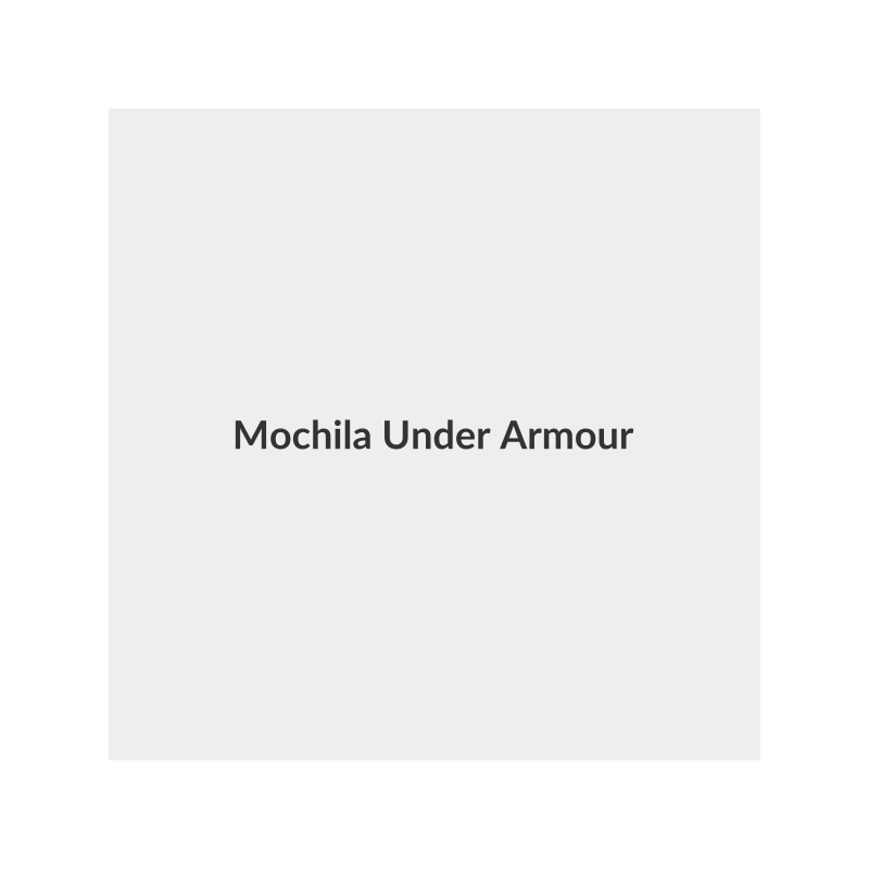 Mochila Under Armour Max